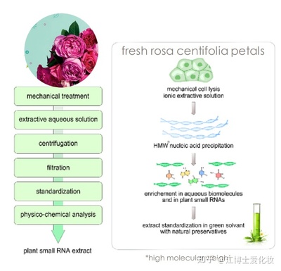 植物提取物 化妝品中的智慧之選，還是營(yíng)銷噱頭？