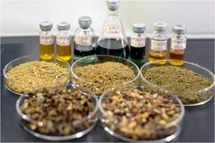 鄭州大學(xué)賈陸教授團(tuán)隊(duì)突破創(chuàng)新 金絲楠木提取物研發(fā)獲國(guó)家專利，植物提取技術(shù)再攀高峰